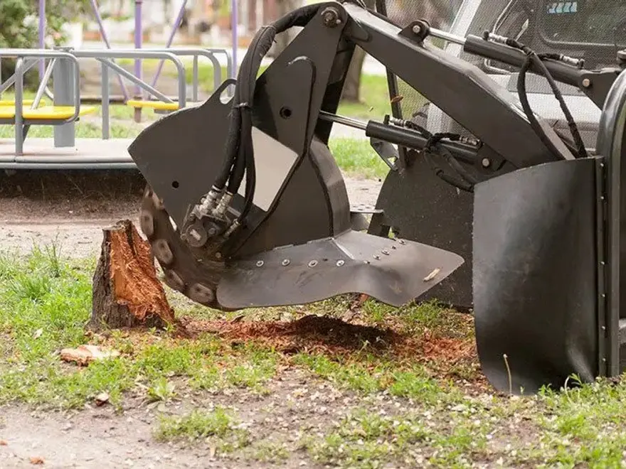 Stump grinder working on a stump