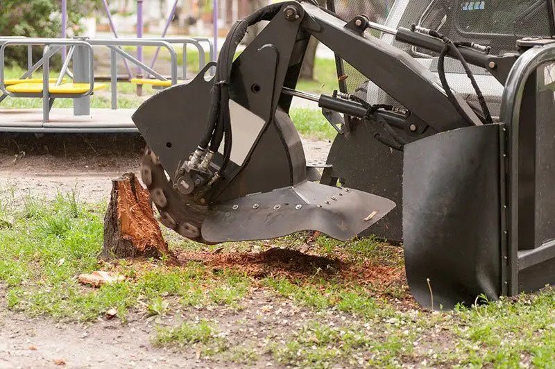 Stump Grinding Riverside